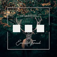 The Ambientalist — Emerald Forest — обложка