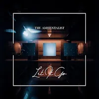 The Ambientalist — Let It Go — обложка
